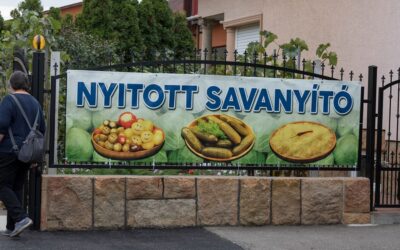 Nyitott savanyító a Káposztafeszten