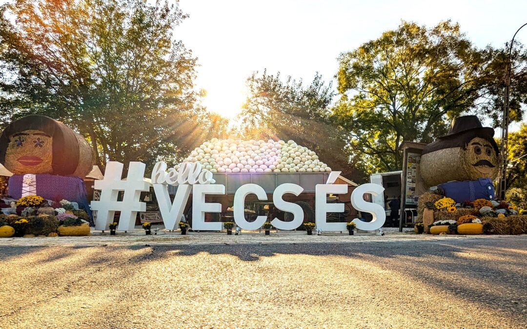 A XXII. Vecsési Káposztafeszt versenyeredményei