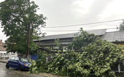 Viharkárok enyhítése – Tisztelt Lakosság!