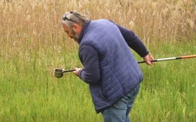 Folytatódik a biológiai szúnyoggyérítés Vecsésen