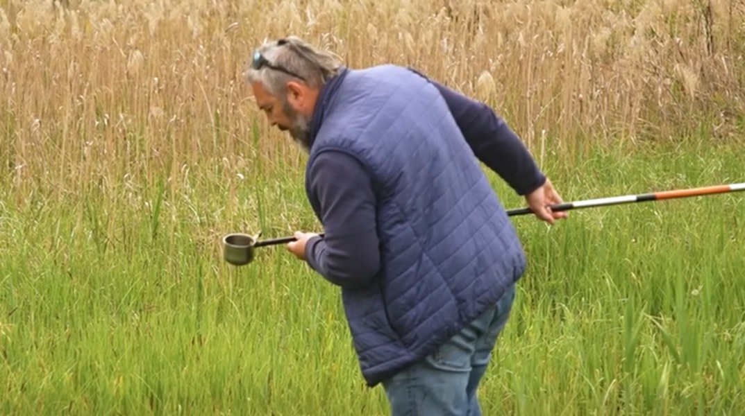 Folytatódik a biológiai szúnyoggyérítés Vecsésen